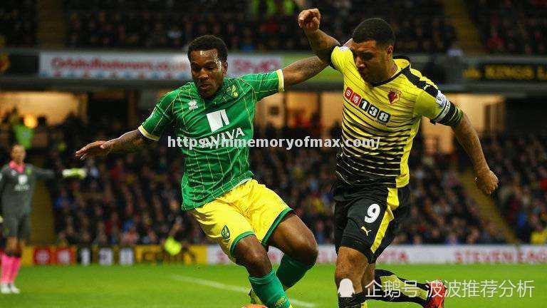 诺维奇主场失分,保级形势陷入困境 诺维奇主场失分,保级形势陷入困境