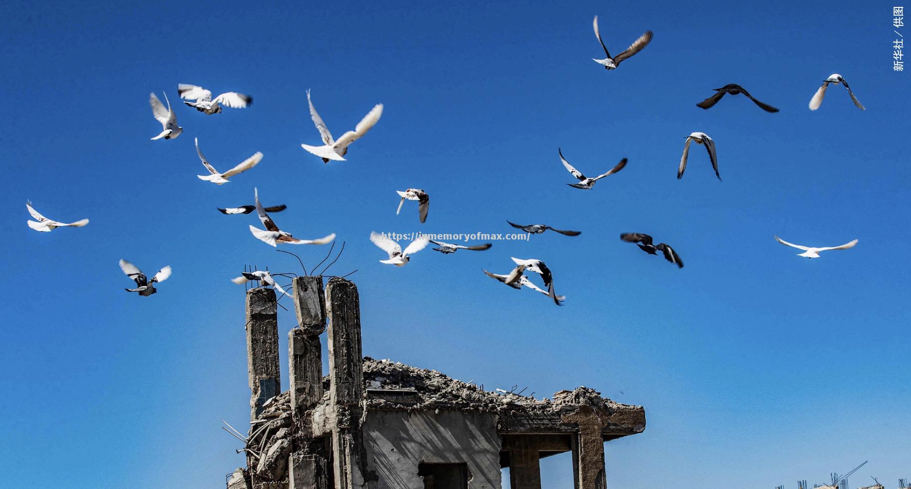 北爱尔兰不敌德国,晋级之路艰难 北爱尔兰不敌德国,晋级之路艰难