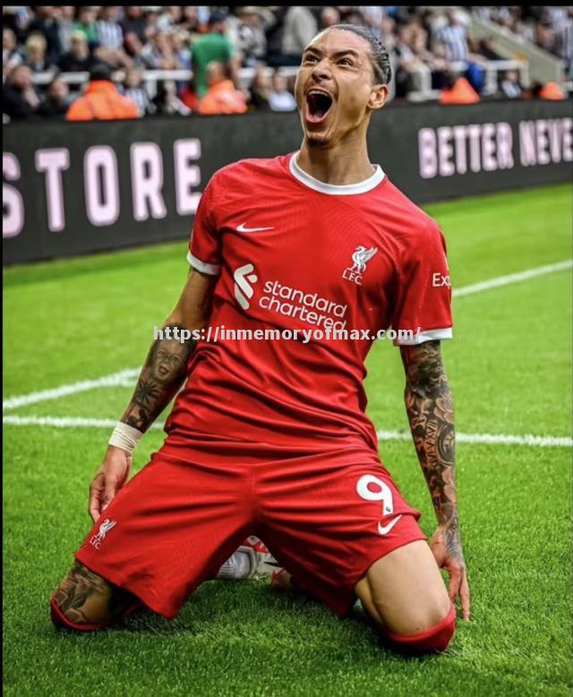 里昂坚忍不拔,终赢得奋斗之年 里昂坚忍不拔,终赢得奋斗之年