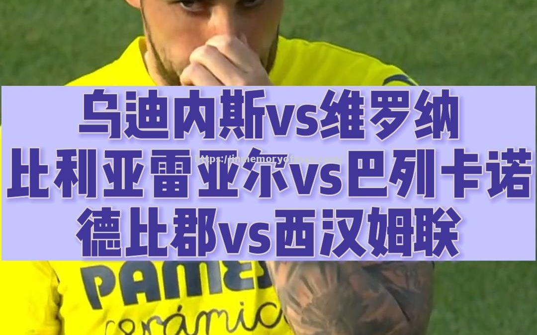 乌迪内斯客场击败维罗纳,重拾胜利 乌迪内斯客场击败维罗纳,重拾胜利