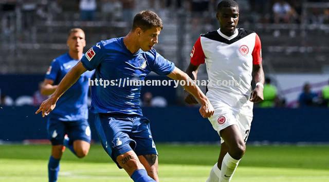 霍芬海姆客场逼平,艰难脱离降级区 霍芬海姆客场逼平,艰难脱离降级区