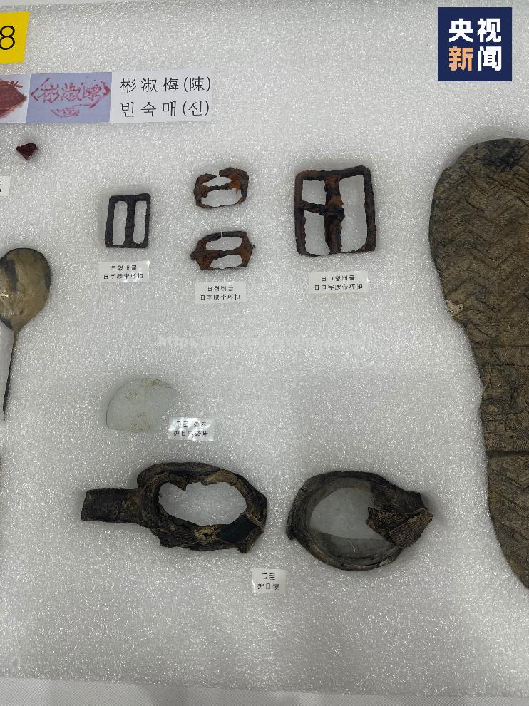 客战韩国归来,法兰克福英雄城市欧锦赛 客战韩国归来,法兰克福英雄城市欧锦赛