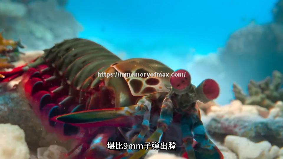 汹涌澎湃!比赛中球员们迸发出火花 汹涌澎湃!比赛中球员们迸发出火花