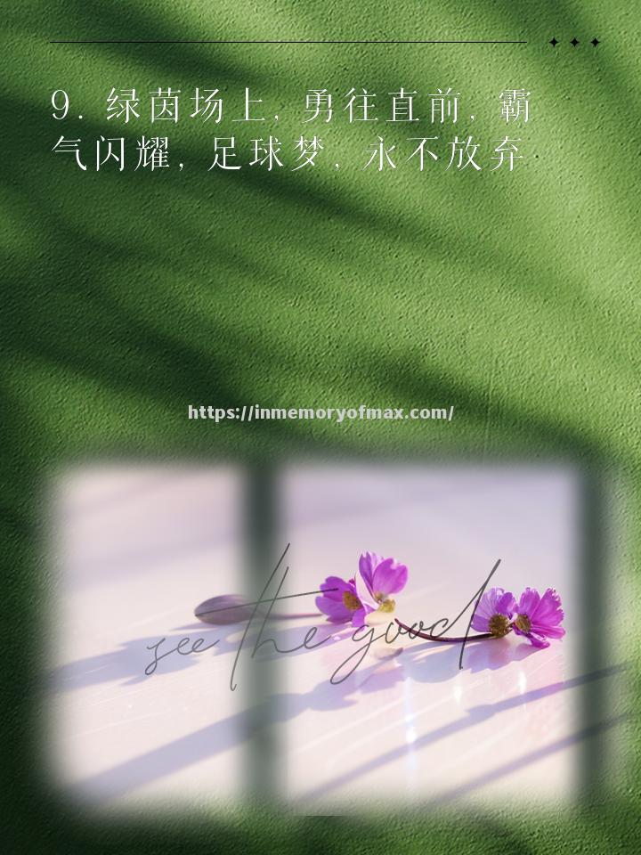 生命在于运动,足球比赛励志精神 生命在于运动,足球比赛励志精神