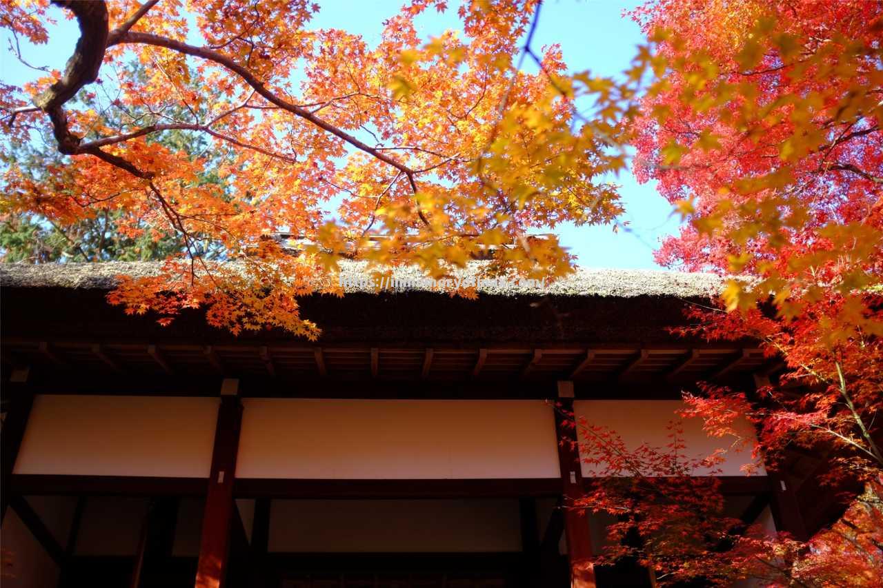 京都不动桥遭遇惨败,出线悬念 京都不动桥遭遇惨败,出线悬念