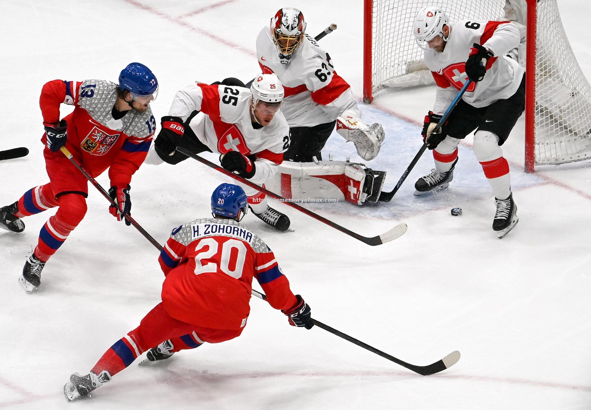 捷克队备战全面展开世外莲花杯 捷克队备战全面展开世外莲花杯