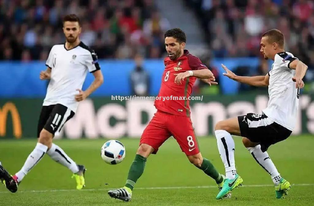 星空体育-克罗地亚与奥地利较量，胜者晋级